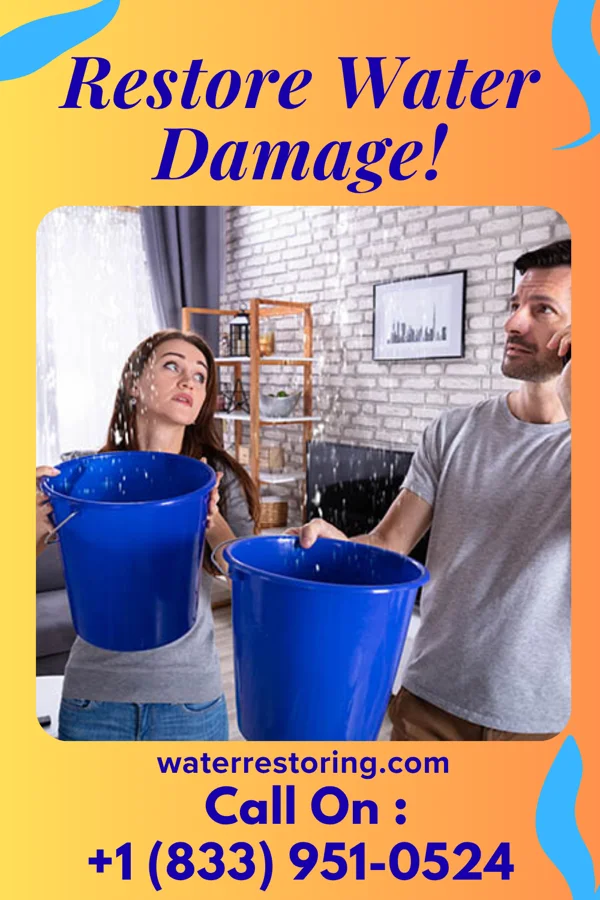 water restoration Rapid Flood Damage LLC Ogema