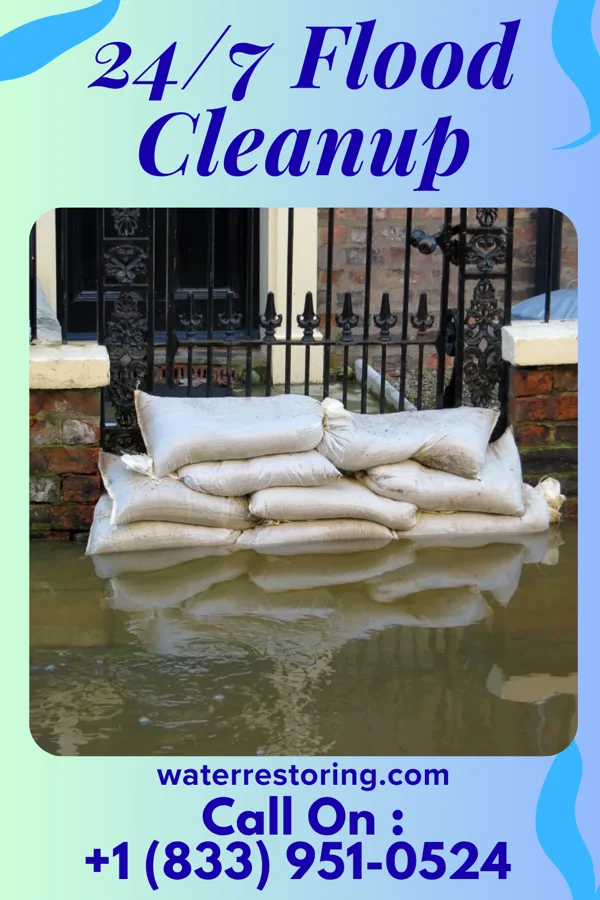 24/7 Flood Cleanup in Ogema, MN