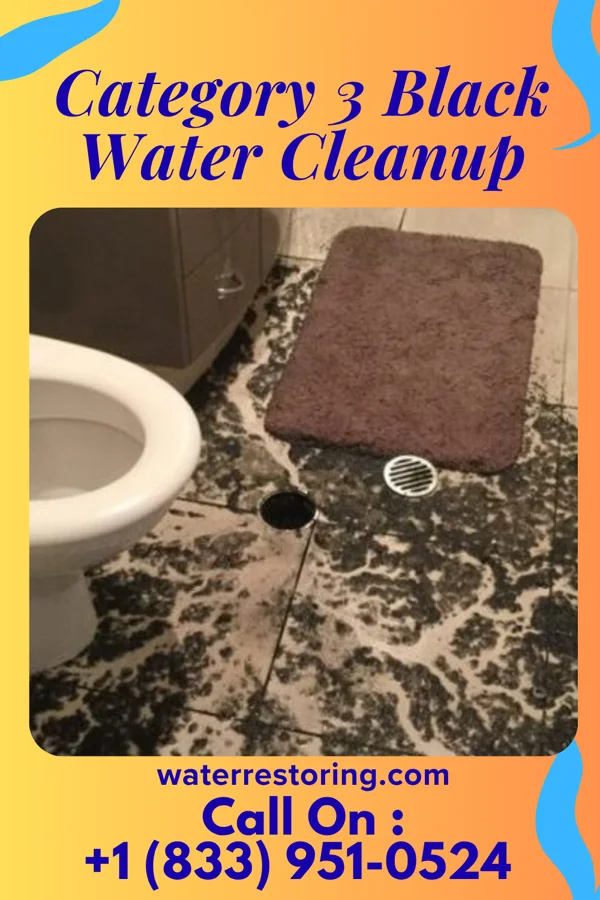 Category 3 Black Water Cleanup in Ogema, MN