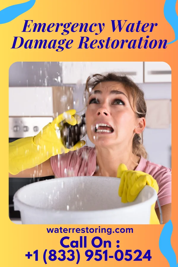 Emergency Water Damage Restoration in Ogema, MN