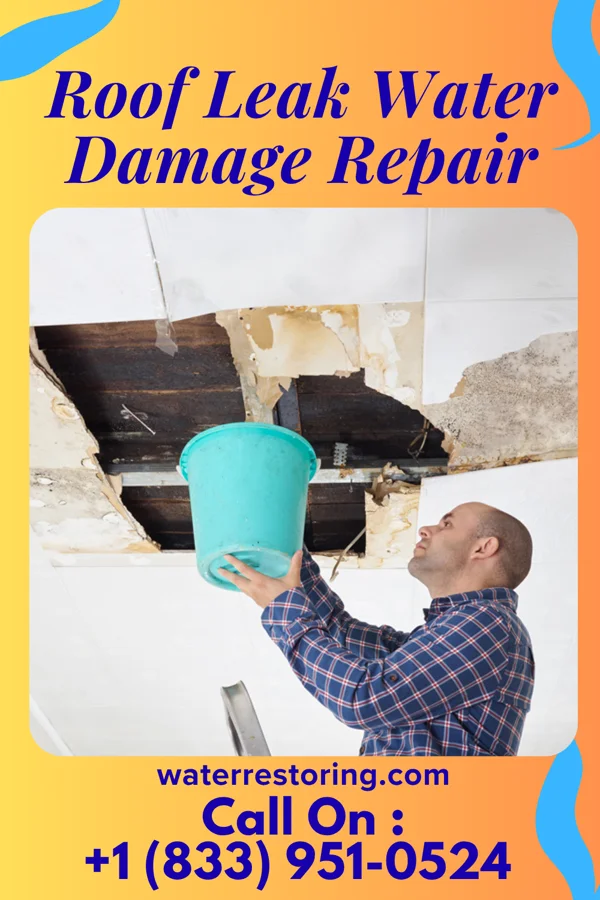 Roof Leak Water Damage Repair in Ogema, MN