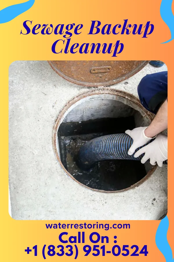 Sewage Backup Cleanup in Ogema, MN