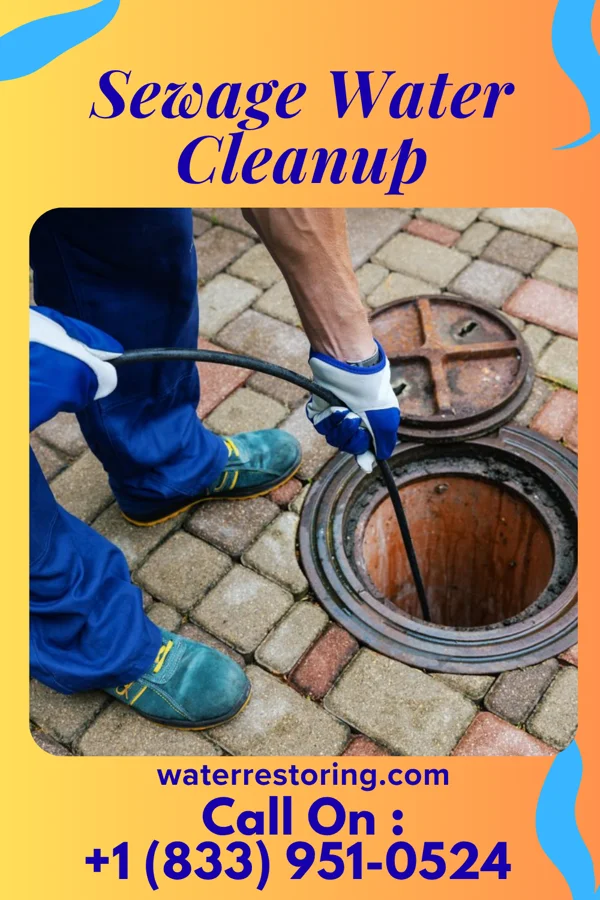 Sewage Water Cleanup in Ogema, MN
